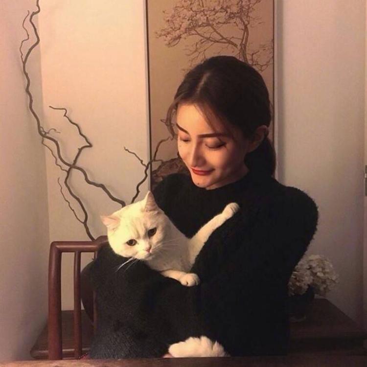 下司泰弘 - 正在播放长尾关键词挖掘7 - 客户端追剧